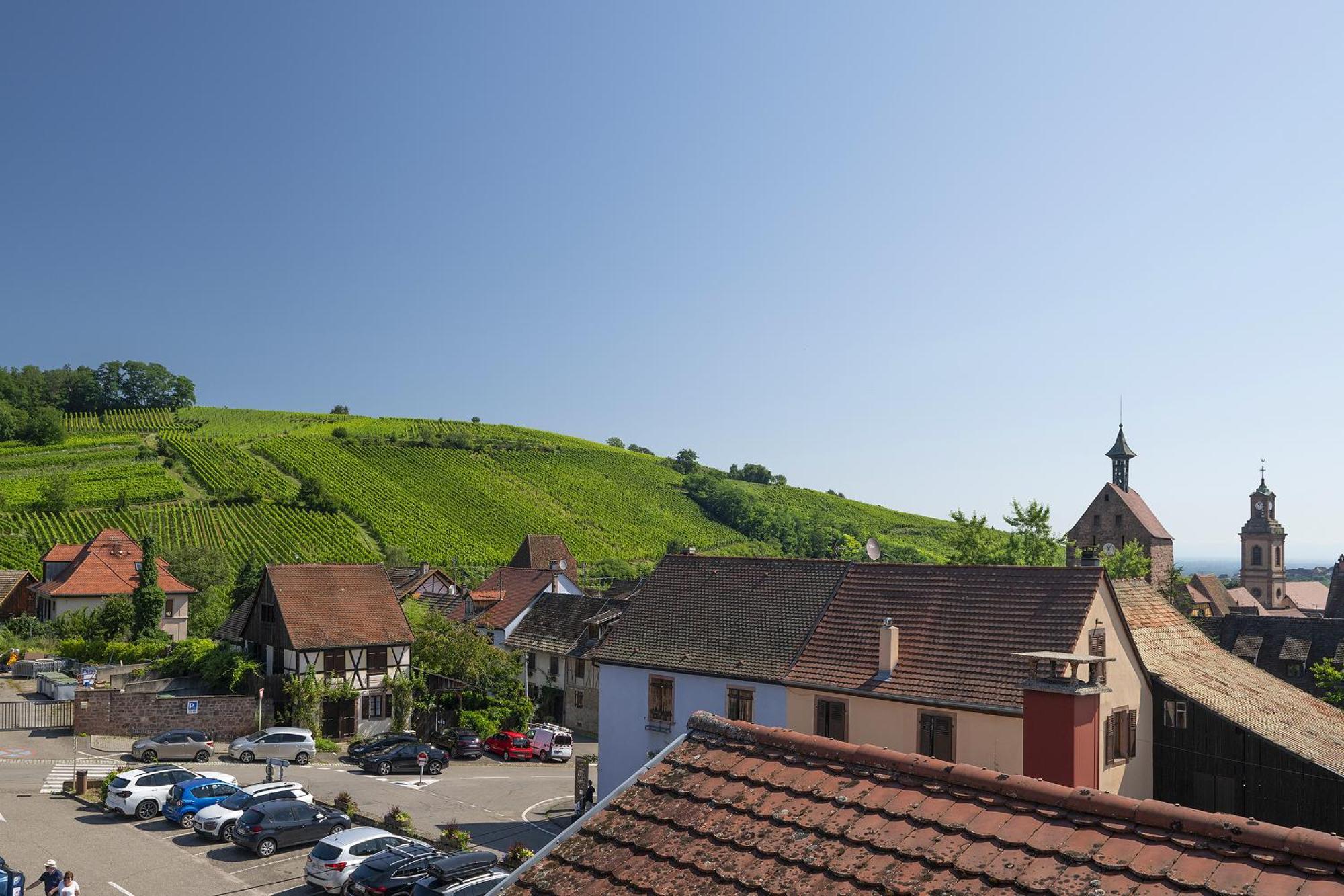 Апартаменты Riesling - Vue Imprenable Sur Le Vignoble - Renove Recemment - Parking Gratuit Рикевир Экстерьер фото